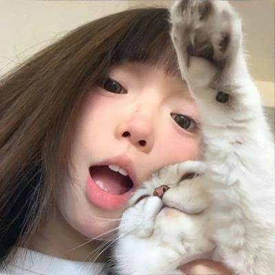 八角笼